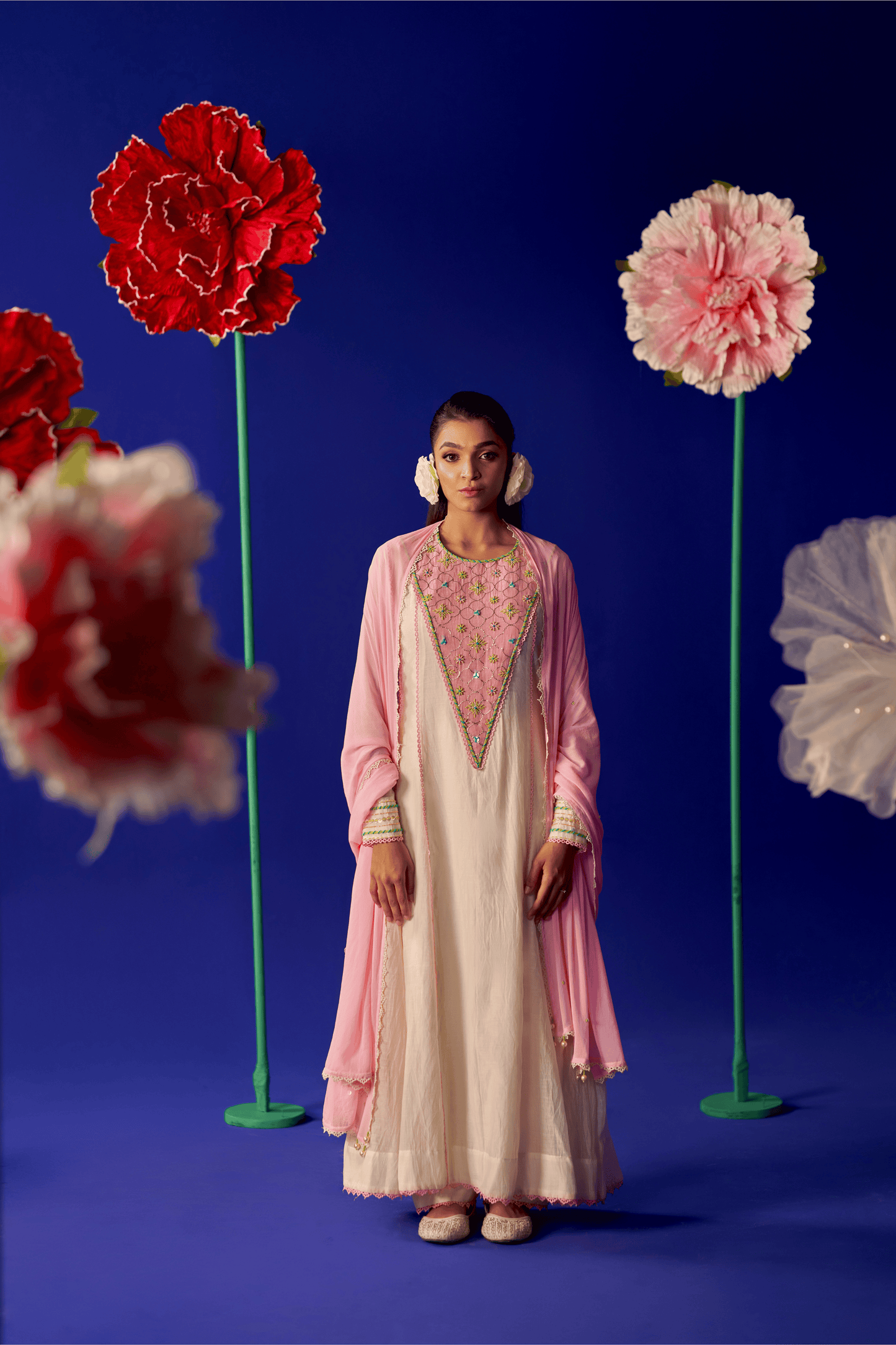 Blush Camellia